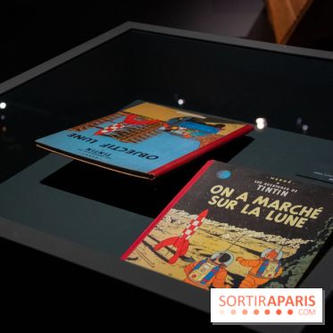 Exposition Lune au Grand Palais, nos photos 