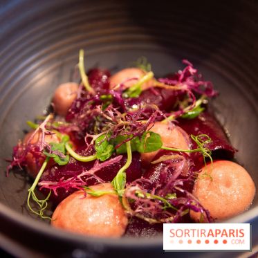 L'escient : nos photos