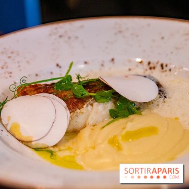 L'escient : nos photos