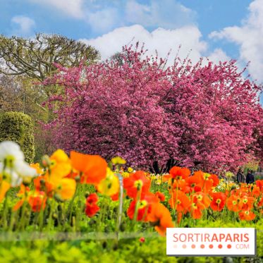 Le Jardin des Plantes