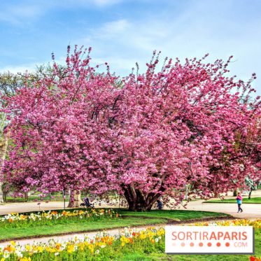 Le Jardin des Plantes