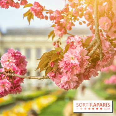 Le Jardin des Plantes