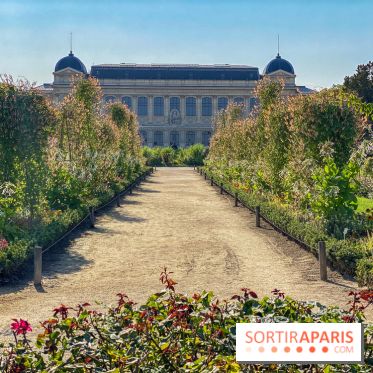 Le Jardin des Plantes
