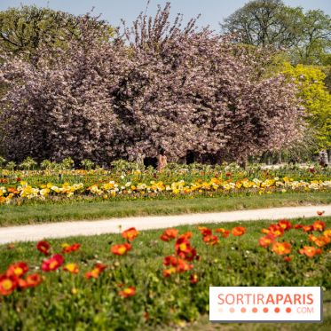 Le Jardin des Plantes