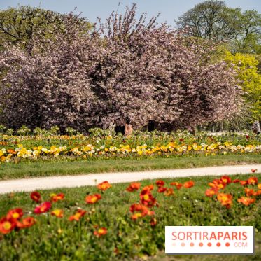 Le Jardin des Plantes