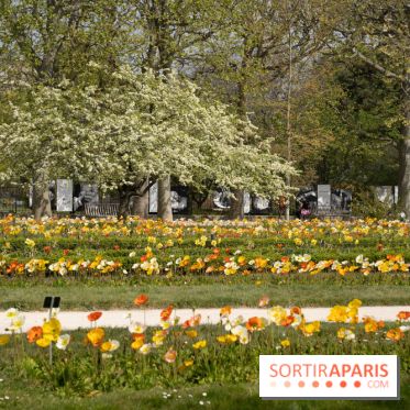 Le Jardin des Plantes