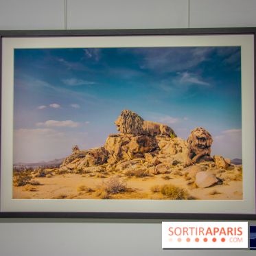 Exposition Unknown Places à la galerie Joseph - Froissart, nos photos