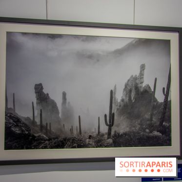 Exposition Unknown Places à la galerie Joseph - Froissart, nos photos