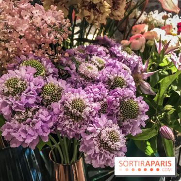 Boya Paris, fleuriste et artisanat