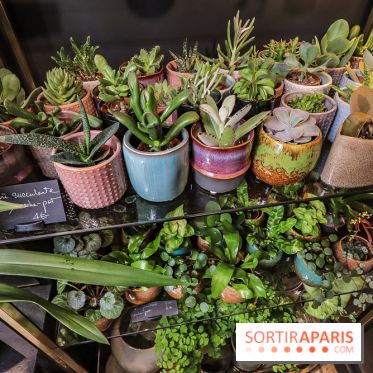 Boya Paris, fleuriste et artisanat