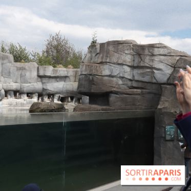 Parc Zoologique de Paris 2019