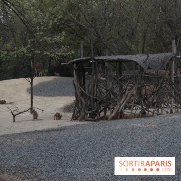 Parc Zoologique de Paris 2019