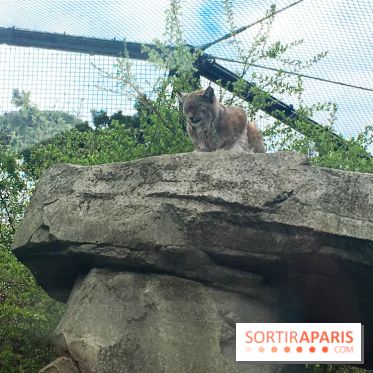 Parc Zoologique de Paris 2019