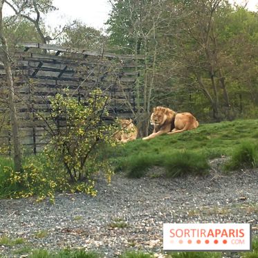 Parc Zoologique de Paris 2019