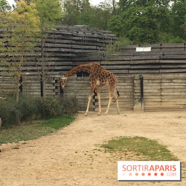Parc Zoologique de Paris 2019