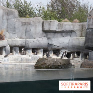 Parc Zoologique de Paris 2019