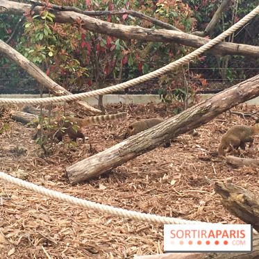 Parc Zoologique de Paris 2019