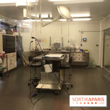 Parc Zoologique de Paris 2019