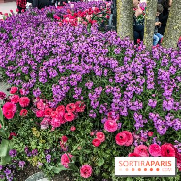 Earth Month à Disneyland Paris