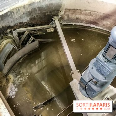 Earth Month à Disneyland Paris