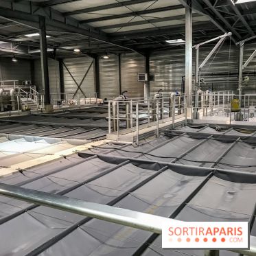 Earth Month à Disneyland Paris