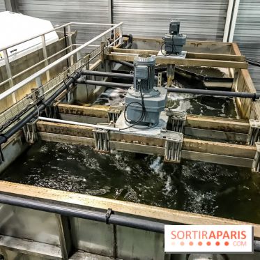 Earth Month à Disneyland Paris