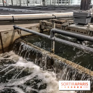 Earth Month à Disneyland Paris