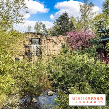 La Mer de Sable 2019, les photos
