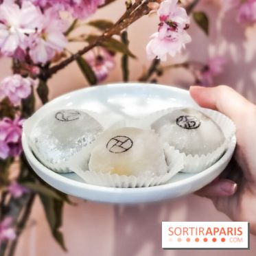 La Maison du Mochi, les photos