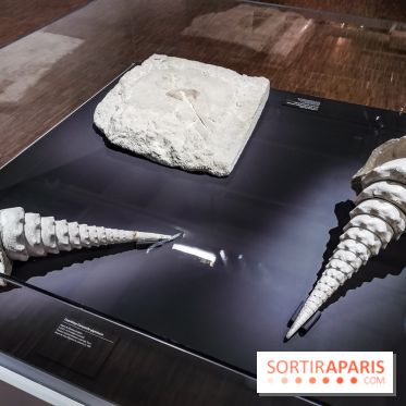 Exposition Préhistoire, un invention moderne au Centre Pompidou, les photos