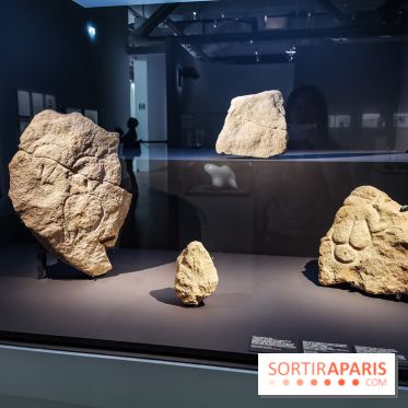 Exposition Préhistoire, un invention moderne au Centre Pompidou, les photos