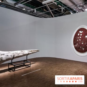 Exposition Préhistoire, un invention moderne au Centre Pompidou, les photos