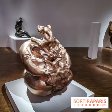 Exposition Préhistoire, un invention moderne au Centre Pompidou, les photos