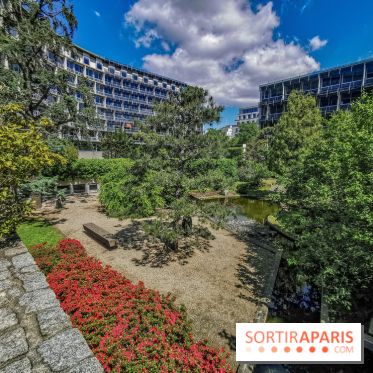 Run My City 2019, les photos