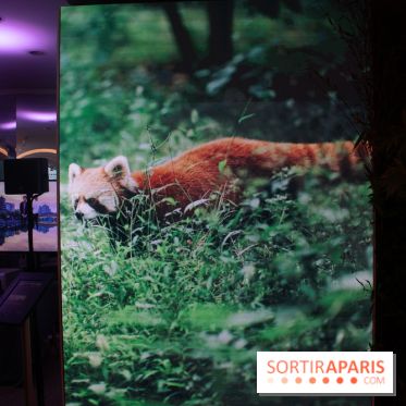 Unexpected China, l'espace éphémère à Paris