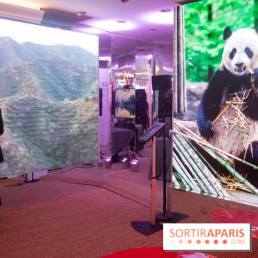 Unexpected China, l'espace éphémère à Paris