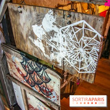 Exposition Swoon à Fluctuart