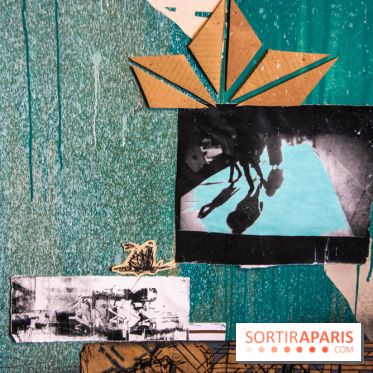 Exposition Swoon à Fluctuart