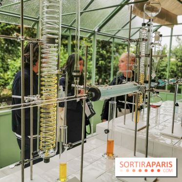 Jardins Jardin aux Tuileries 2019