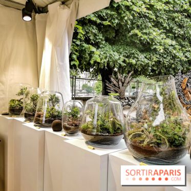 Jardins Jardin aux Tuileries 2019