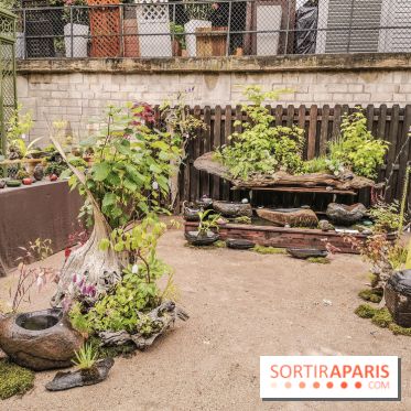 Jardins Jardin aux Tuileries 2019