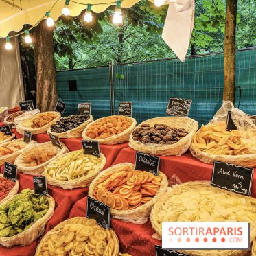 Jardins Jardin aux Tuileries 2019