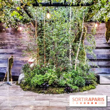 Jardins Jardin aux Tuileries 2019