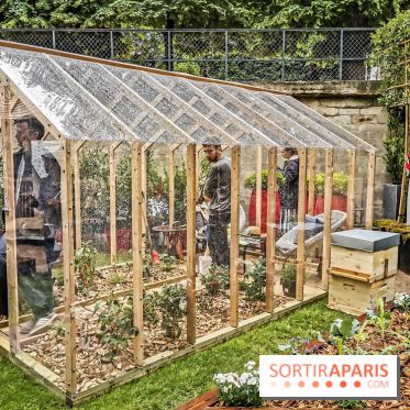 Jardins Jardin aux Tuileries 2019