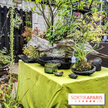 Jardins Jardin aux Tuileries 2019