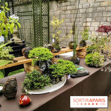 Jardins Jardin aux Tuileries 2019