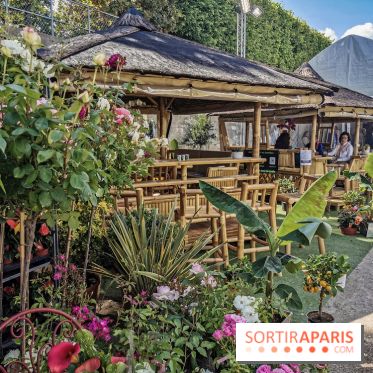 Jardins Jardin aux Tuileries 2019