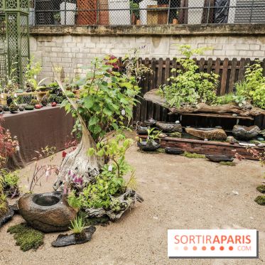 Jardins Jardin aux Tuileries 2019