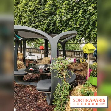 Jardins Jardin aux Tuileries 2019