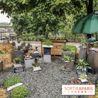 Jardins Jardin aux Tuileries 2019